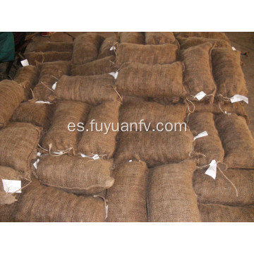 Liaoning fresh chestnut para la venta